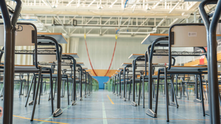 Achievements of mixed education in Spain – Elcano Royal Institute