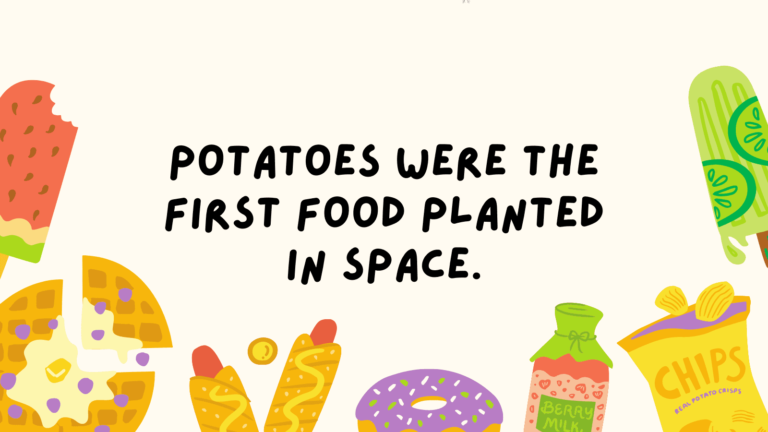 108 Fun Food Facts To Tempt Your Tastebuds