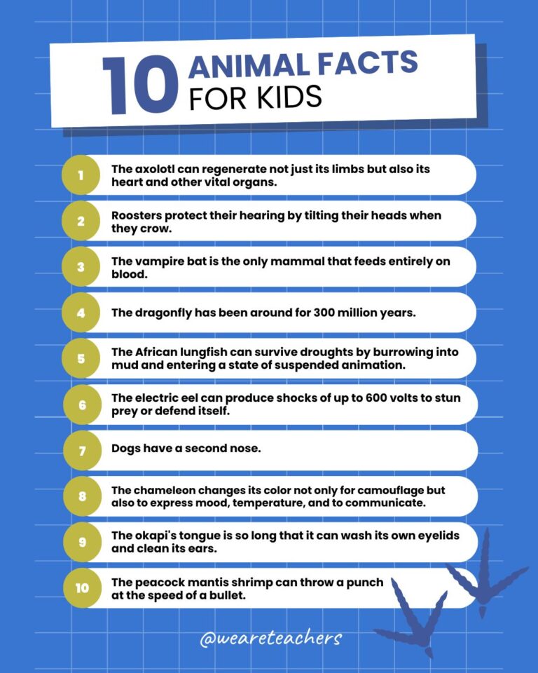 300+ Fascinating Animal Facts That Will Amaze You