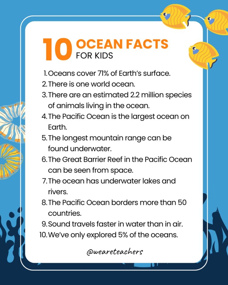 53 Sea fact that surprises you