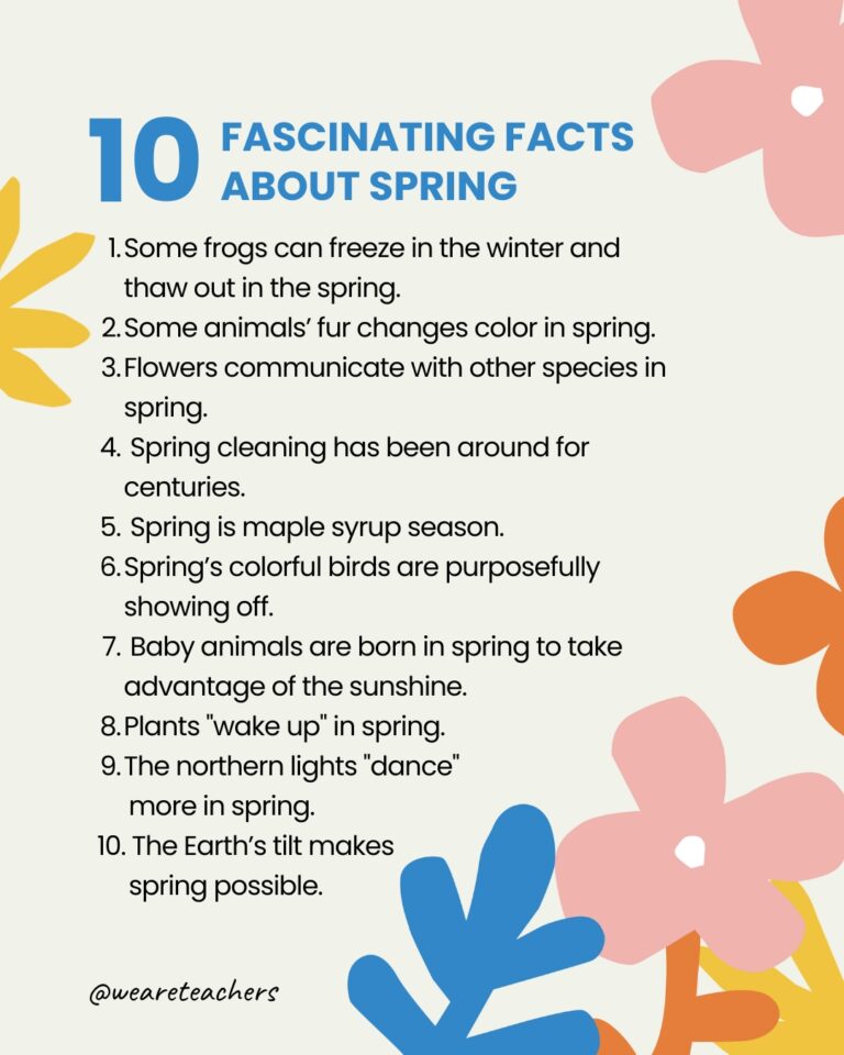 25 Fun Facts About Spring to Brighten Your Day