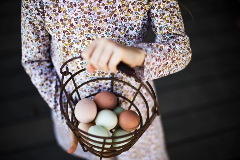 Second Law of Supply and Demand