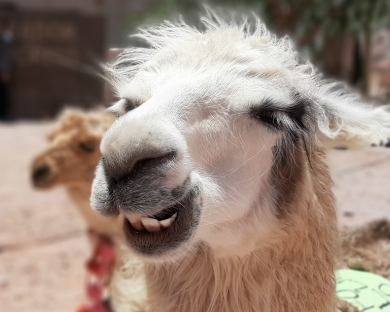 Link 4/5/2025 | Naked Capitalism