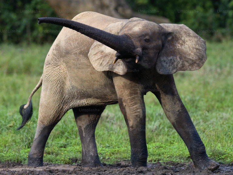 Link 8/30/2025 | Naked Capitalism