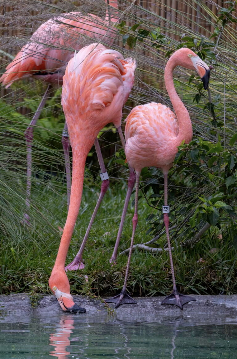 Link 9/16/2025 | Naked Capitalism