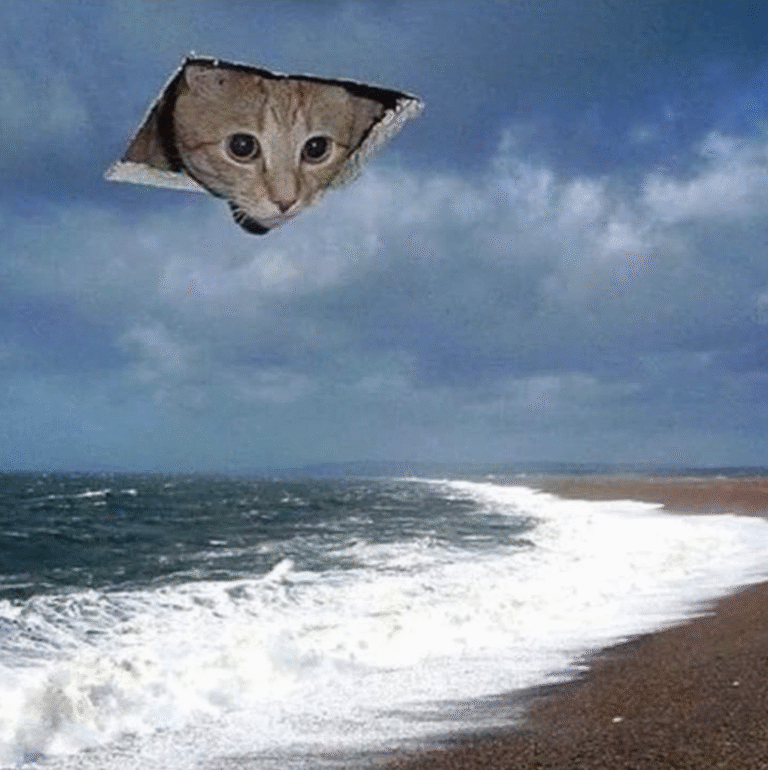 Link 9/3/2025 | Naked Capitalism