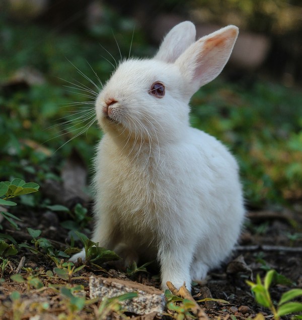 Link 2025/10/30 | Naked Capitalism