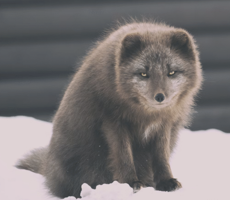 Link 10/7/2025 | Naked Capitalism