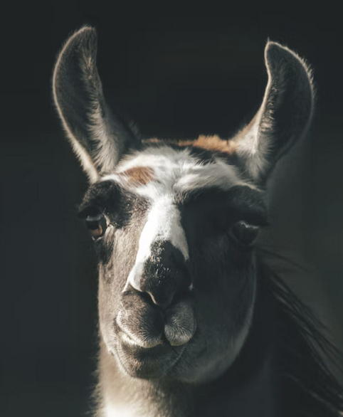 Link 2025/10/23 | Naked Capitalism