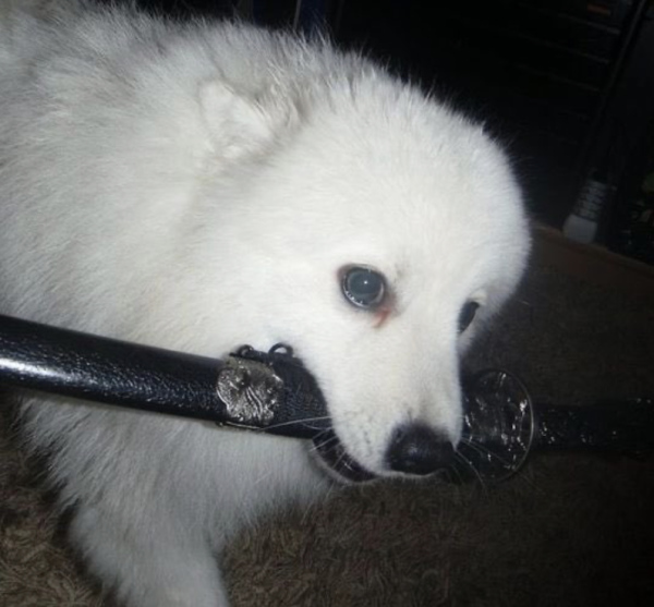 Link 2025/10/24 | Naked Capitalism