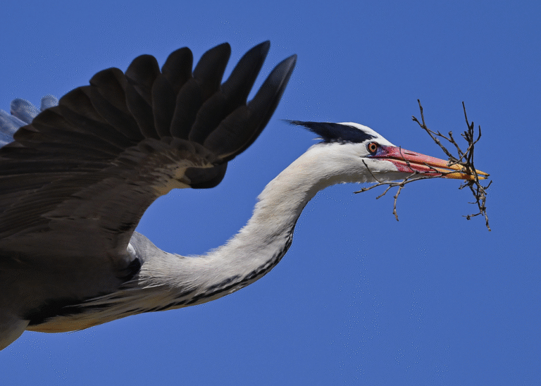 Link 2025/10/29 | Naked Capitalism