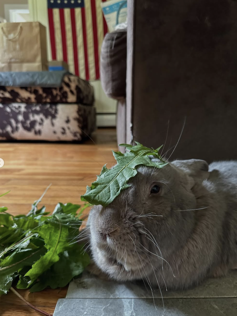 Link October 11, 2025 | Naked Capitalism