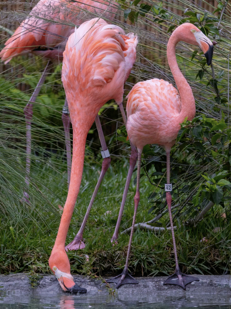 Link November 11, 2025 | Naked Capitalism