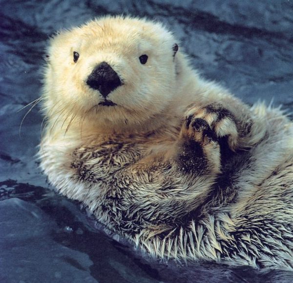 Link November 16, 2025 | Naked Capitalism