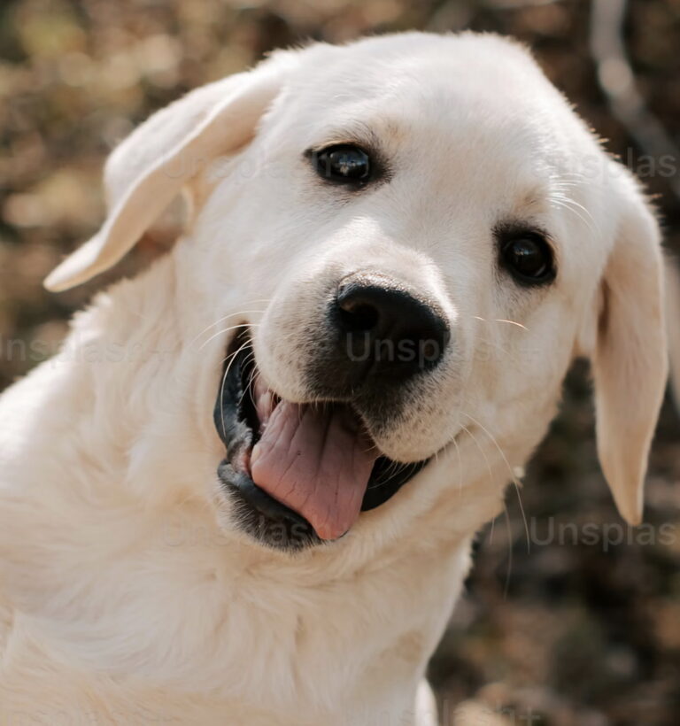 Links 12/16/2025 | naked capitalism