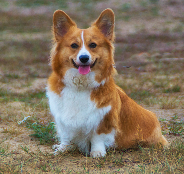 Link 2025/12/7 | Naked Capitalism