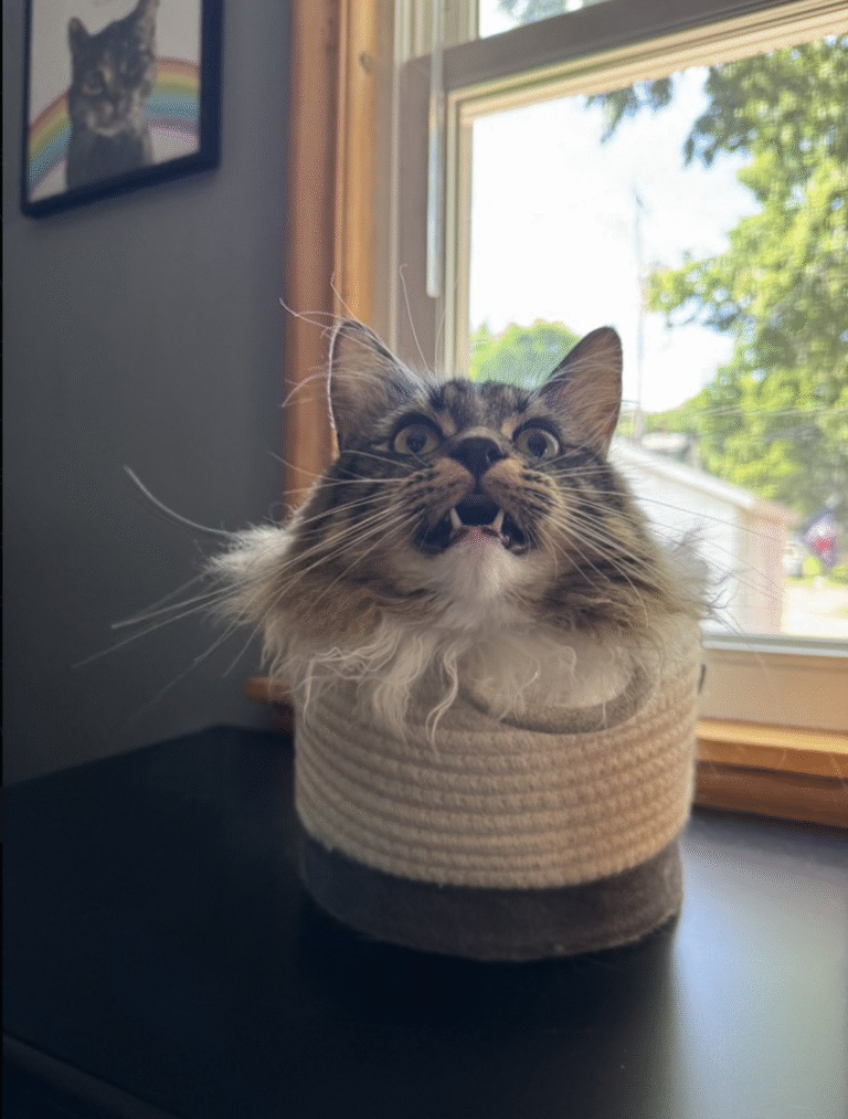 Link May 12, 2025 | Naked Capitalism