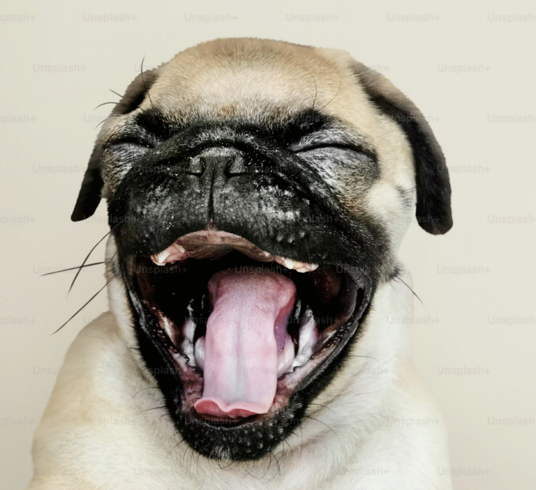 Link September 12, 2025 | Naked Capitalism