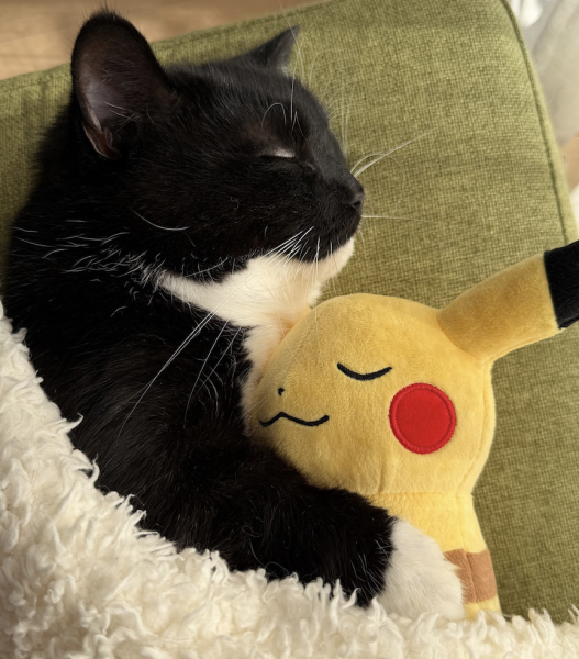 Link January 8, 2026 | Naked Capitalism