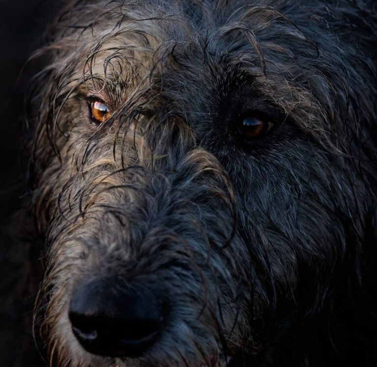 Link 2026/2/26 | Naked Capitalism