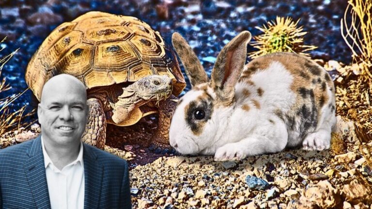 Want exponential growth? Start with 1 percent improvement a day