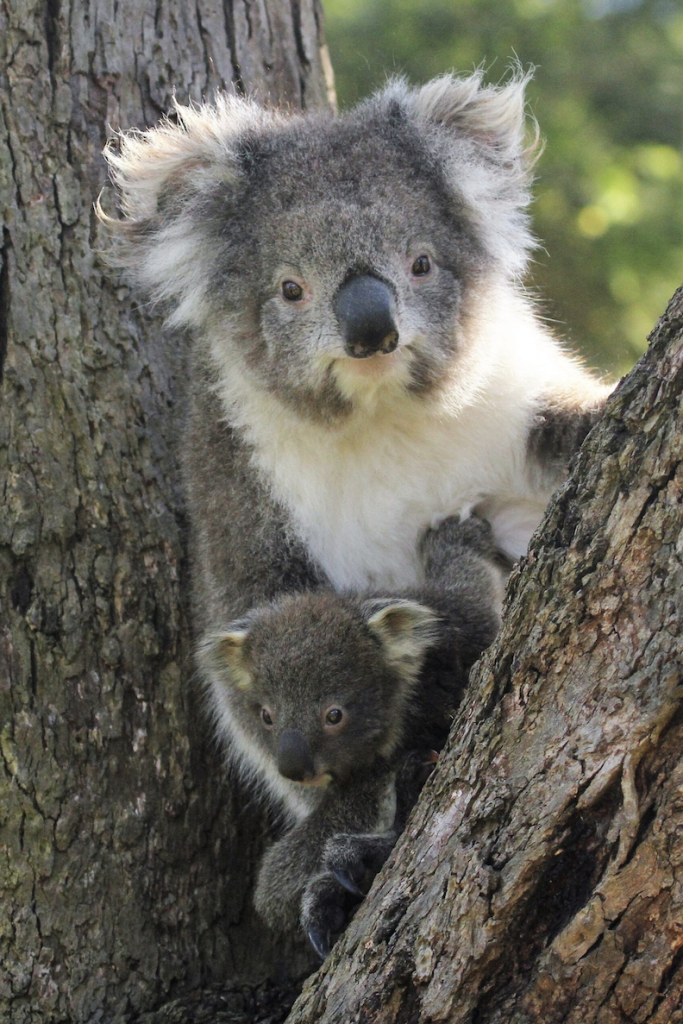 Link September 3, 2026 | Naked Capitalism