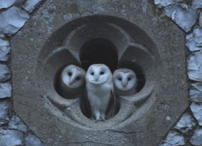 Link 2026/3/30 | Naked Capitalism