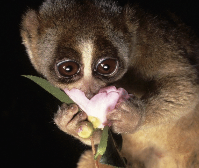 Link April 9, 2026 | Naked Capitalism