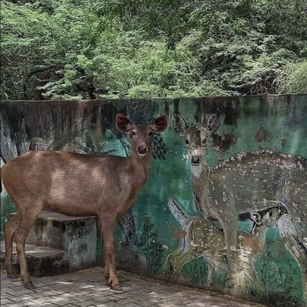 Link April 13, 2026 | Naked Capitalism