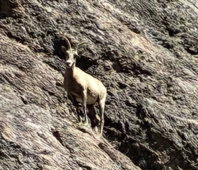 Link April 14, 2026 | Naked Capitalism