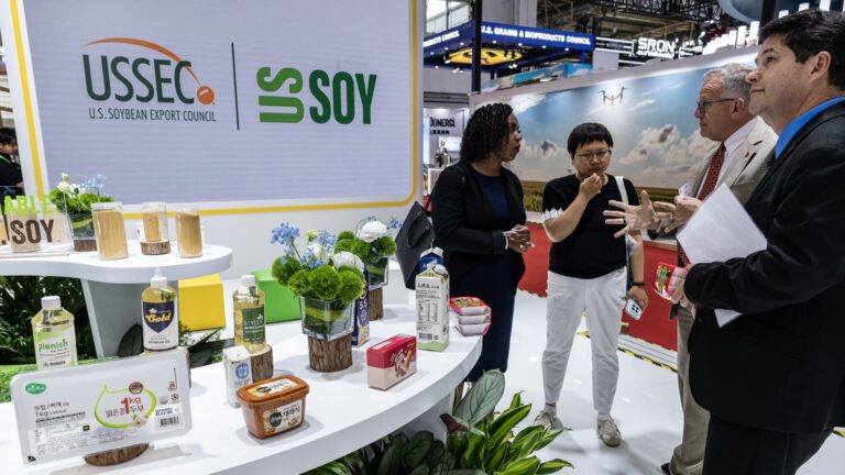 US competes with Brazil over China’s huge soybean market