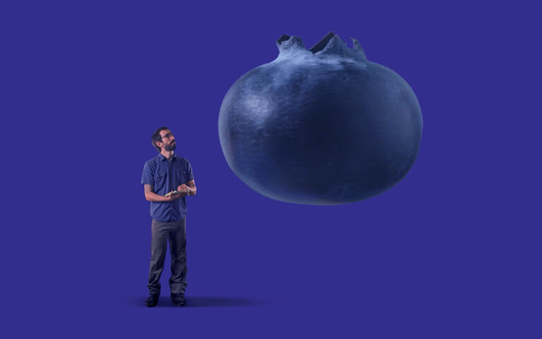 Do the blueberries in my grocery store come from farms where workers have been harmed? — ProPublica