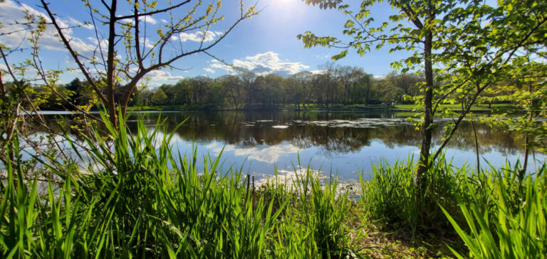 Lake County, Illinois Housing Market Update: June 2026