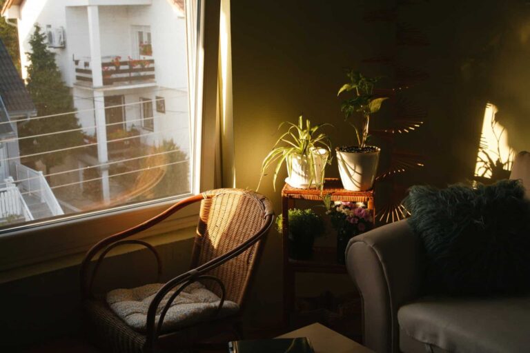 How important is natural light when buying a home?